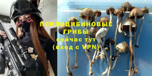 круглые Армянск
